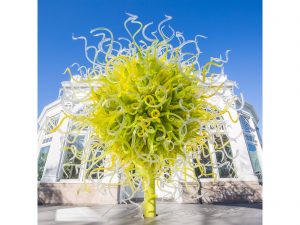 Chihuly Botanical Garden