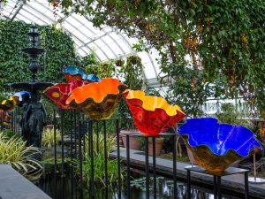 Chihuly Botanical Garden